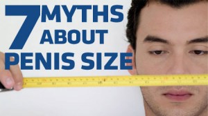 Seven Myths About Penis Size