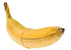 Flaccid penis size