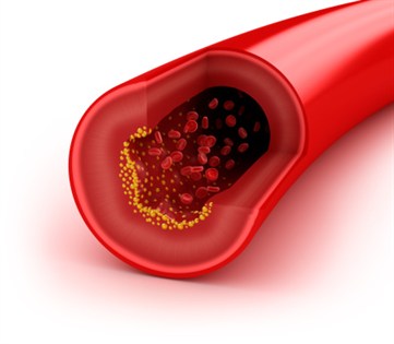 Maximizing Blood Flow for penis enlargement