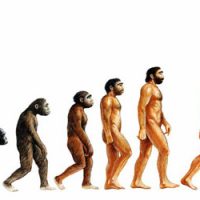 Penis Size and Evolution – Your Penis is Larger Than You Think