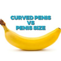 Curved Penis vs Penis Size