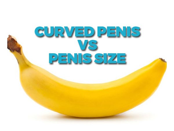 Curved Penis vs Penis Size