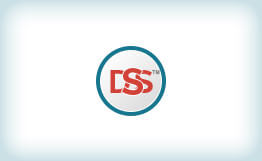 DSS System